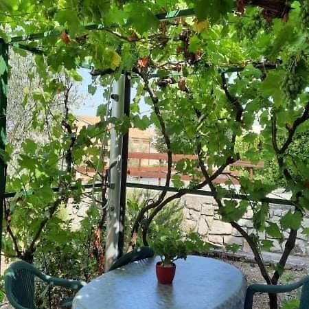 Apartman Katarina Lägenhet Cres Exteriör bild